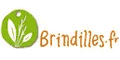 codes promo brindilles