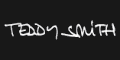 logo teddy smith